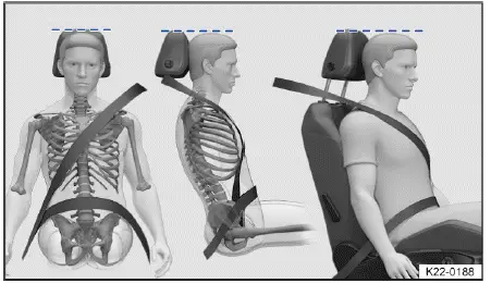 Volkswagen ID.4 - Fig. 1 Correct safety belt positioning and correct head